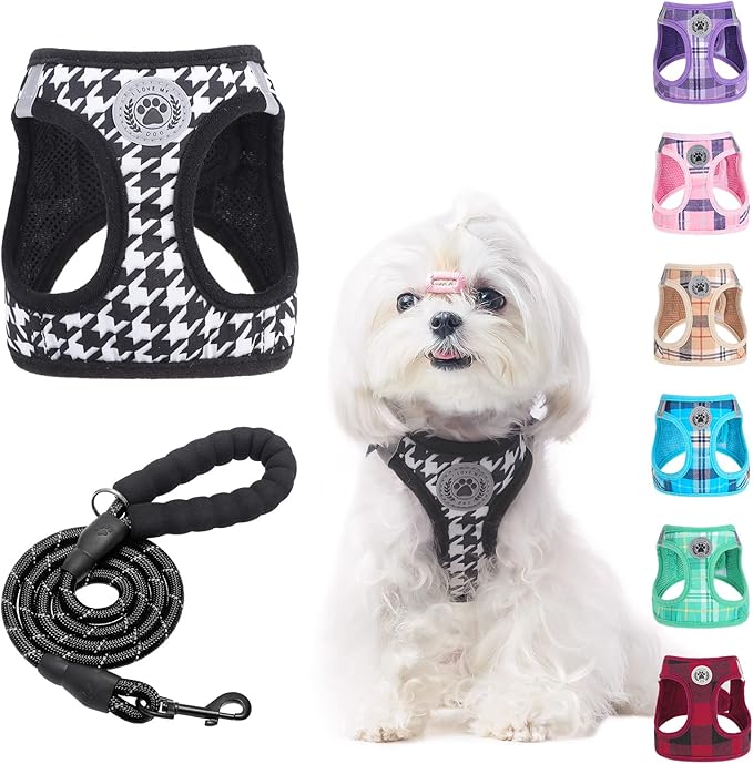 BEAUTYZOO Small Dog Harness and Leash Set, Step in No Choke No Pull Soft Mesh by BEAUTYZOO