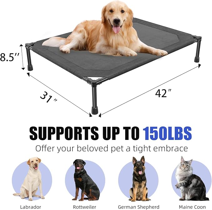 Simple Trending Elevated Dog Bed - Image 7