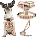 PUPTECK Soft Mesh Dog Harness and Leash Set Pet Puppy Cat Comfort Padded Vest by PUPTECK