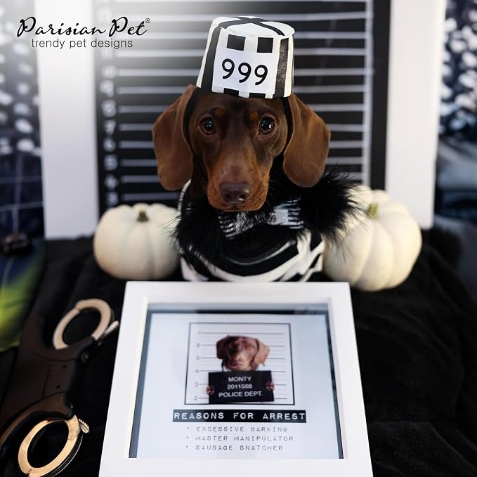 Parisian Pet Prisoner Dog Costume - Image 6