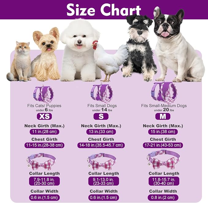 EXPAWLORER Cute Dog Harness Collar Leash Set - Image 5