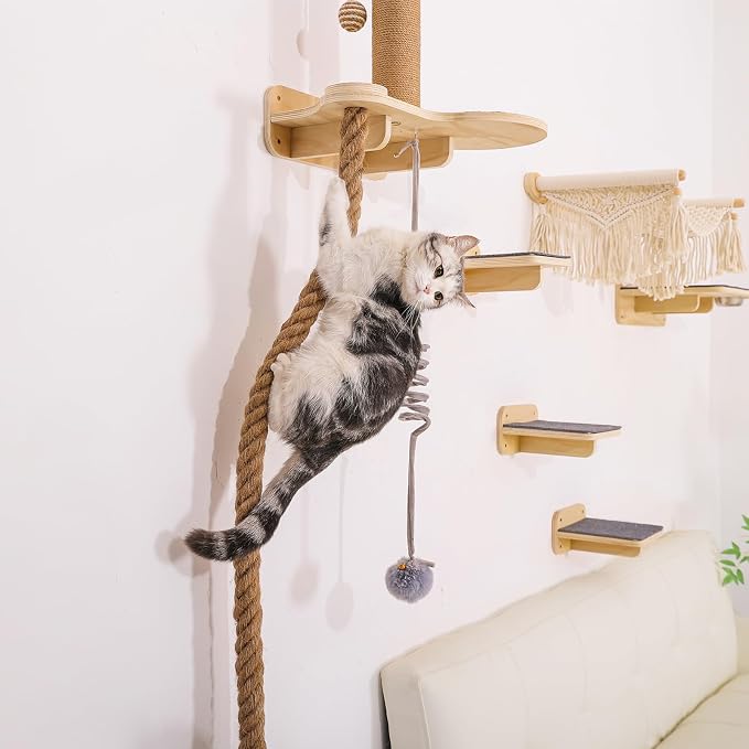Cat Wall Shelves, Large Wall-Mounted 6-in-1 cat Furniture Set - Image 6