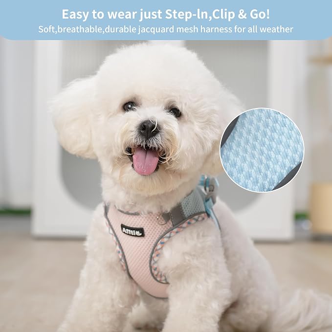 AIITLE Dog Harness and Leash Set - Image 7