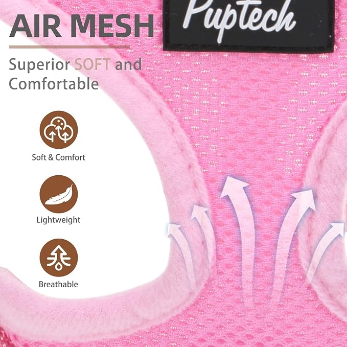 PUPTECK Soft Mesh Dog Harness and Leash Set Pet Puppy Cat Comfort Padded Vest - Image 2
