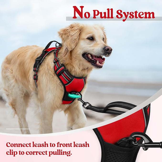 rabbitgoo Dog Harness No Pull - Image 6