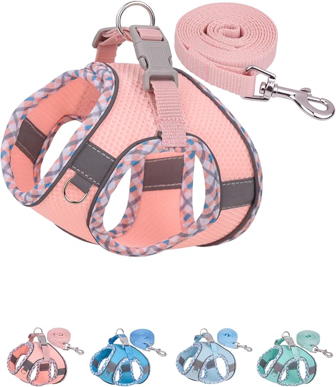 Petank Dog Harness for Small Medium Dogs No Pull, Puppy Harness and Leash Set by Petank