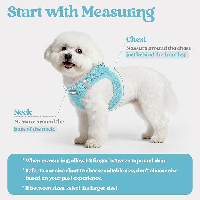 rabbitgoo Dog Harness Small Sized and Leash Set, Step in Soft Light Puppy Vest - Image 2