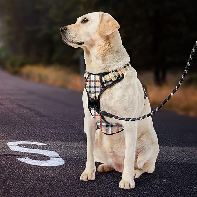 IVY&LANE No Pull Dog Harness - Image 7