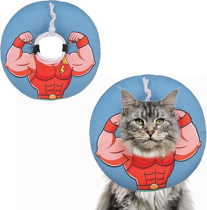BEAUTYZOO Cat Cone Collars Soft, Cat Recovery E Collars After Surgery to Stop by BEAUTYZOO