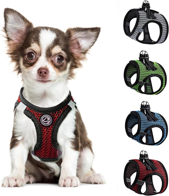 Dog Harness for Medium Dogs Chihuahua Harness Tiny Dog Harness for Cats Dogs by shifenmei