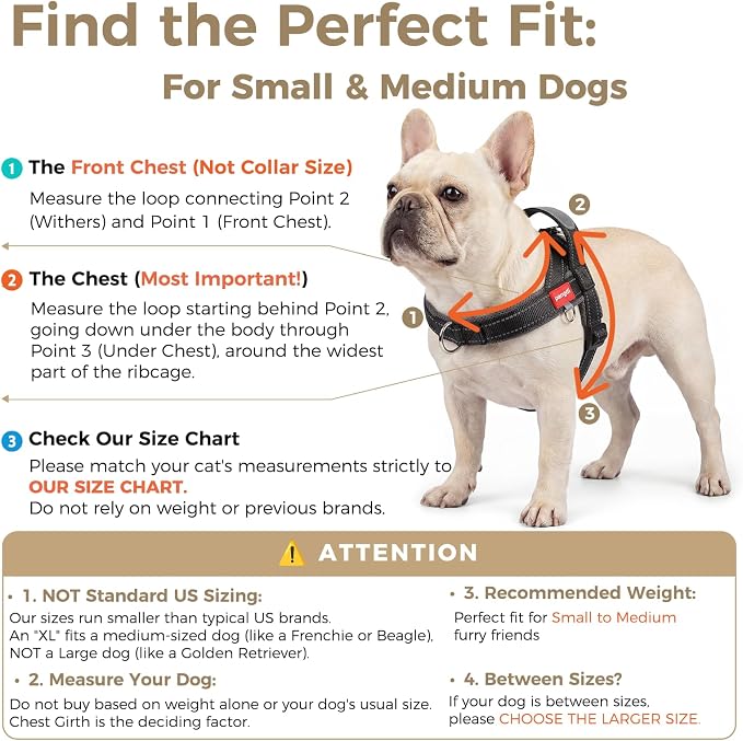 No Pull Dog Harness with Handle, Corgi Adjustable Reflective Dog Vest, - Image 2