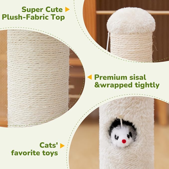 Cat Scratching Post for Kitten, 23in Tall Cute Small Cat Scratching Post - Image 3