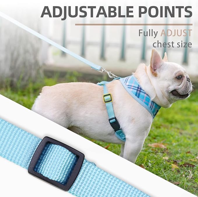 PUPTECK Soft Mesh Dog Harness and Leash Set Pet Puppy Cat Comfort Padded Vest - Image 3