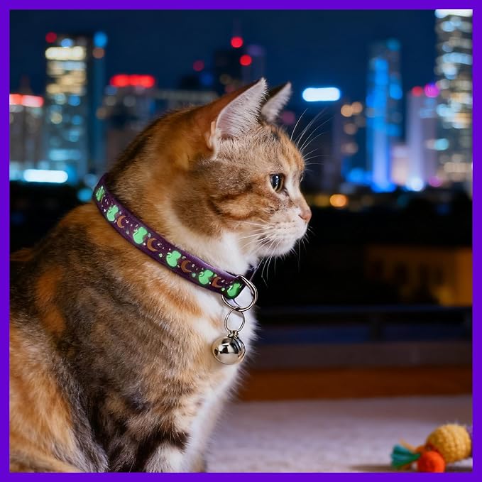 10PCS Breakaway Cat Collars - Image 5