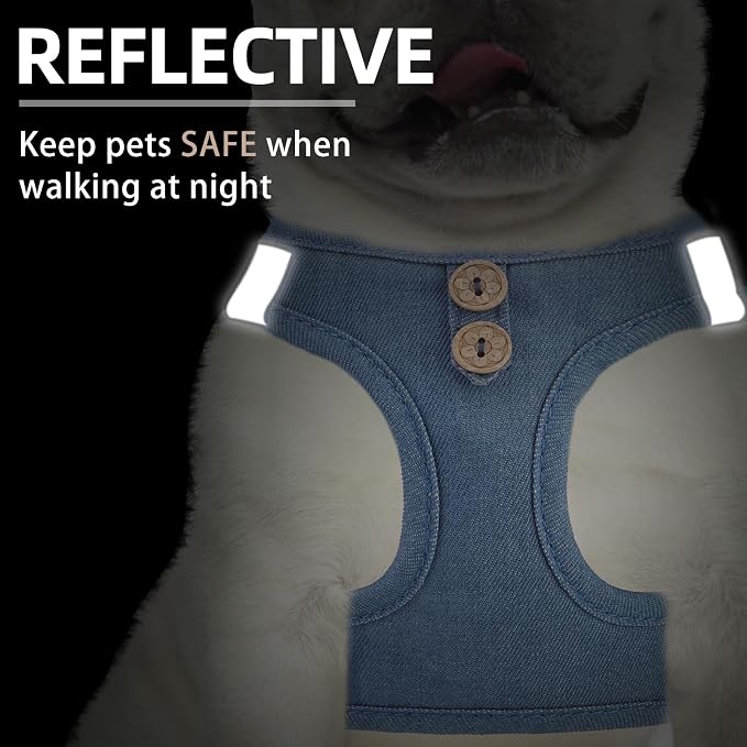 PUPTECK Dog Harness and Leash Set - Image 5