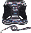 Step in Dog Harness and Leash Set, Reflective Adjustable No Pull Dog Harness by Mihqy