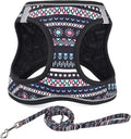Step in Dog Harness and Leash Set, Reflective Adjustable No Pull Dog Harness by Mihqy