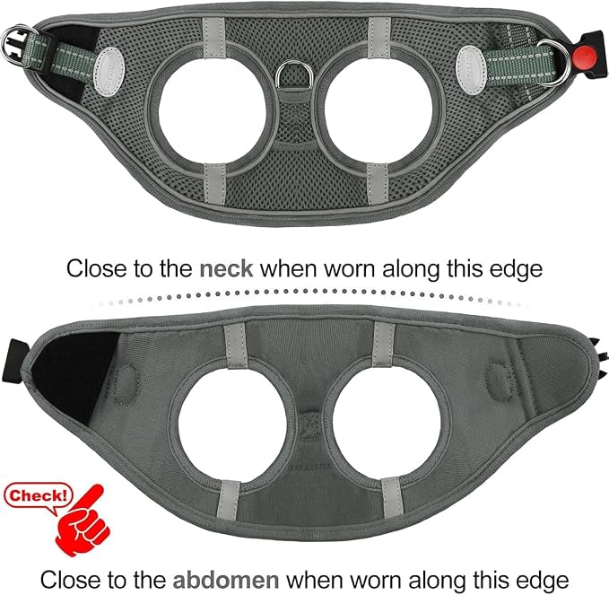Joytale Small Dog Harness, Breathable Mesh Step-in Vest, Reflective Soft Padded - Image 6