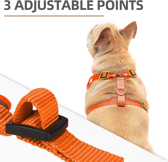 PUPTECK Small Dog Harness and Leash Set, No Pull Adjustable Puppy Cat Harness - Image 2