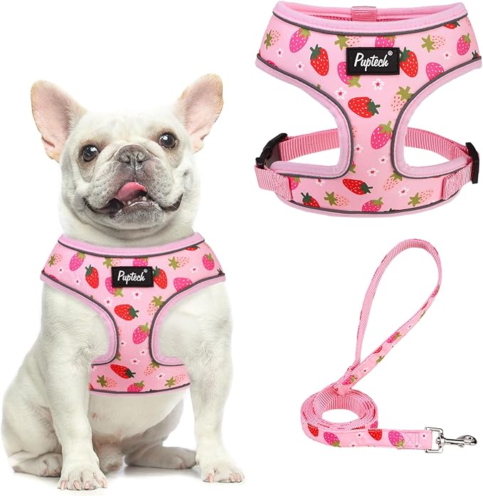 PUPTECK Soft Mesh Dog Harness and Leash Set Pet Puppy Cat Comfort Padded Vest by PUPTECK