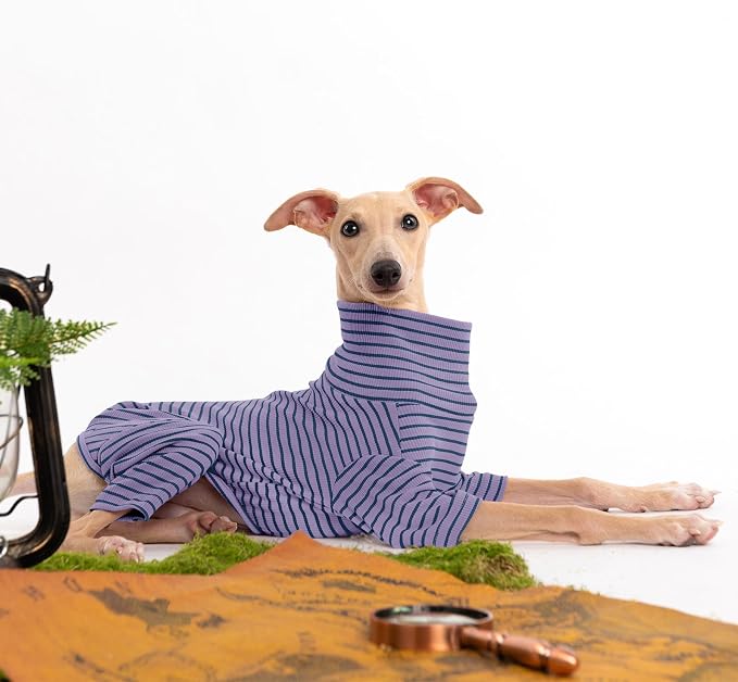 Dog Sweaters for Small Dogs Girls Boys, Striped Pet Sweaters for Fall Winter - Image 4