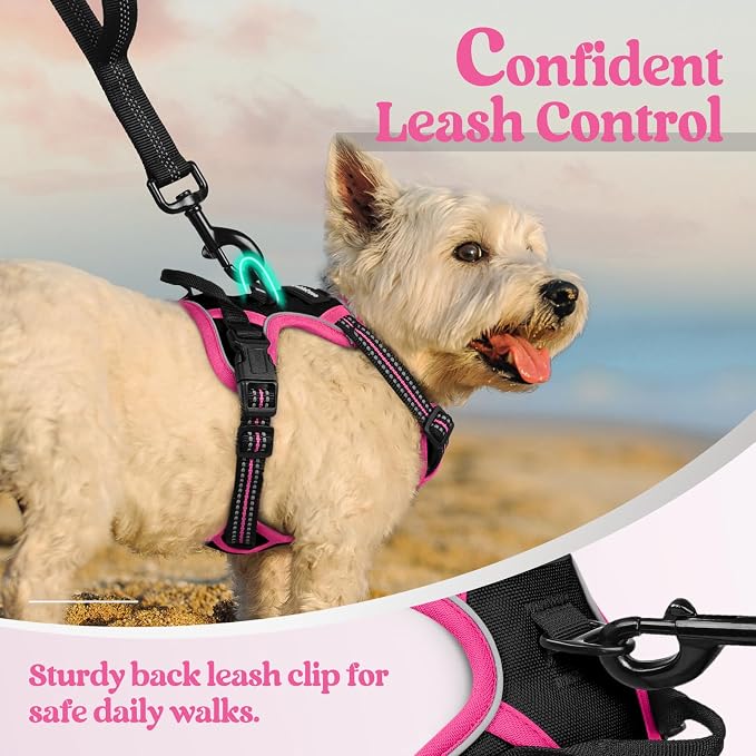rabbitgoo Dog Harness No Pull - Image 6