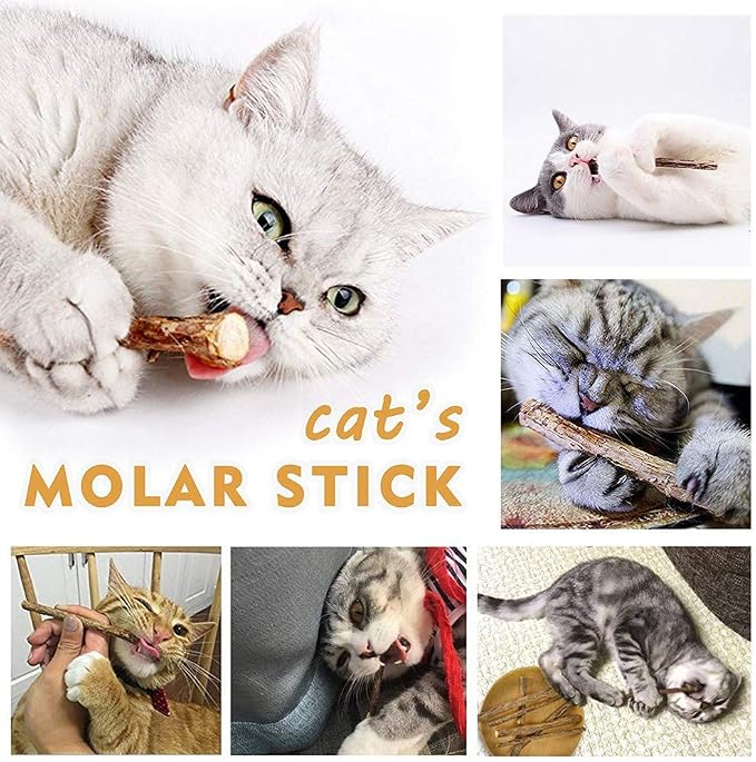 10 PCS Cat Catnip Sticks, Natural Matatabi Silvervine Sticks - Image 4