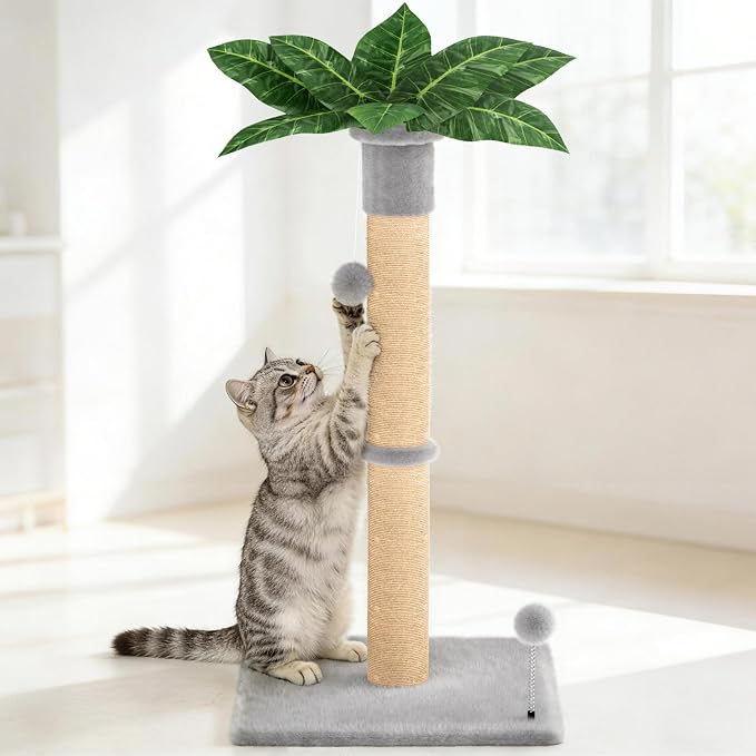 XiaZ Cat Scratching Post 34'' Tall, Heavy Duty Cat Tree Tower by XiaZPet