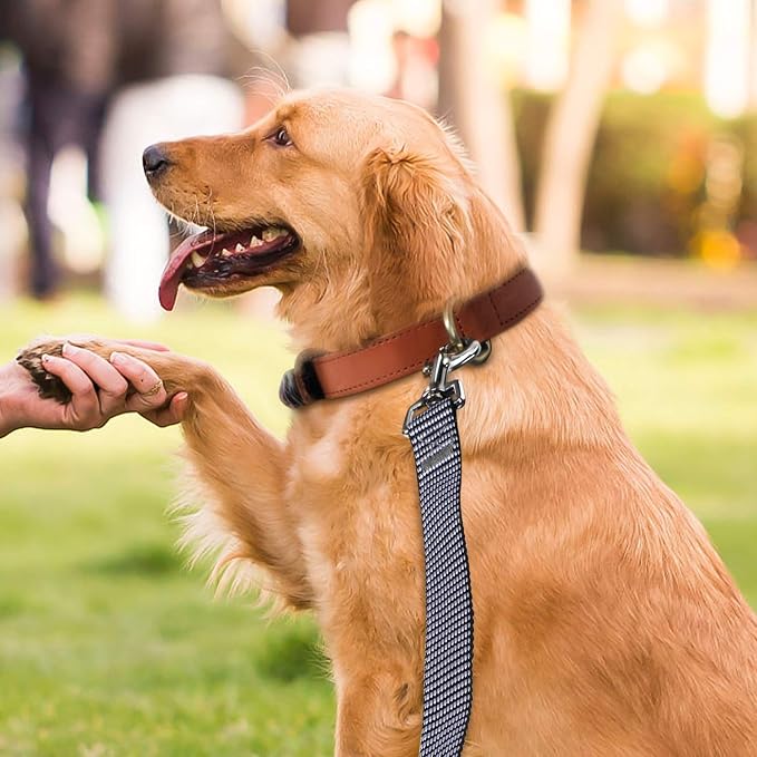 Hi Kiss Dog/Puppy Obedience Recall Training Agility Lead - 15ft 20ft 30ft 50ft - Image 6