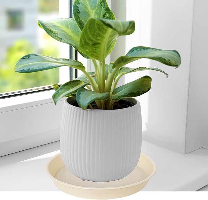 6 Pack of 12 inch Plant Saucer, Heavy Duty Plastic Plant Saucer 12" Round - Image 4