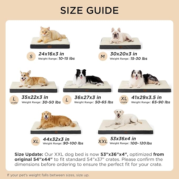 Bedsure Dog Bed for Small Dogs - Image 7
