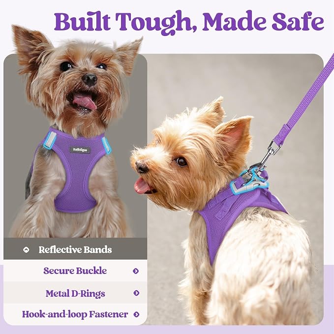 rabbitgoo Dog Harness Small Sized and Leash Set, Step in Soft Light Puppy Vest - Image 7