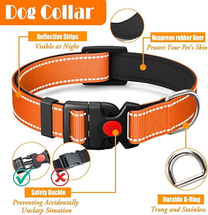 No Pull Dog Harness, Collar & Leash Set | Includes Dog Seat Belt, Collapsible - Image 6