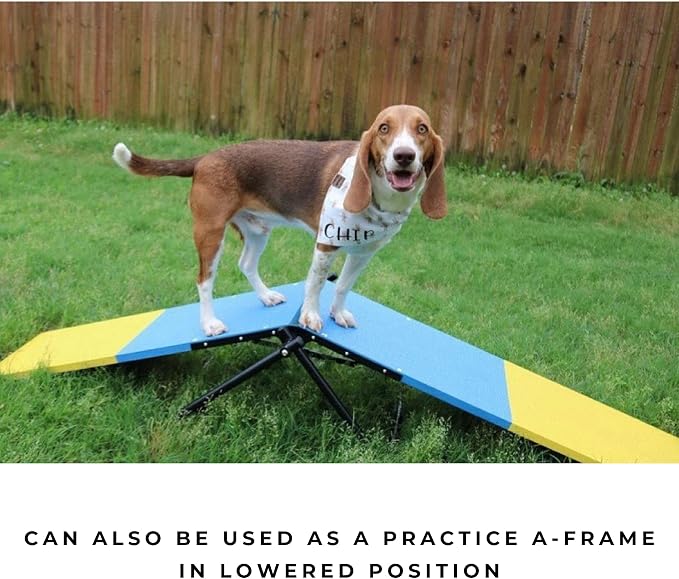 Better Sporting Dogs Practice See Saw | Dog Agility Teeter | Dog Agility - Image 5