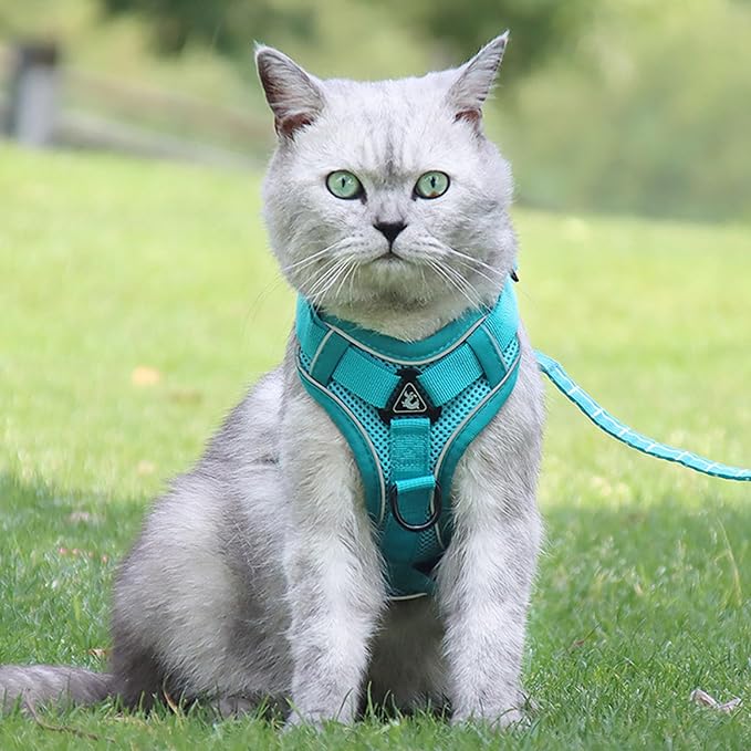 Cat Harness and Leash for Walking Soft Cat Harness Escape Proof, Adjustable - Image 7