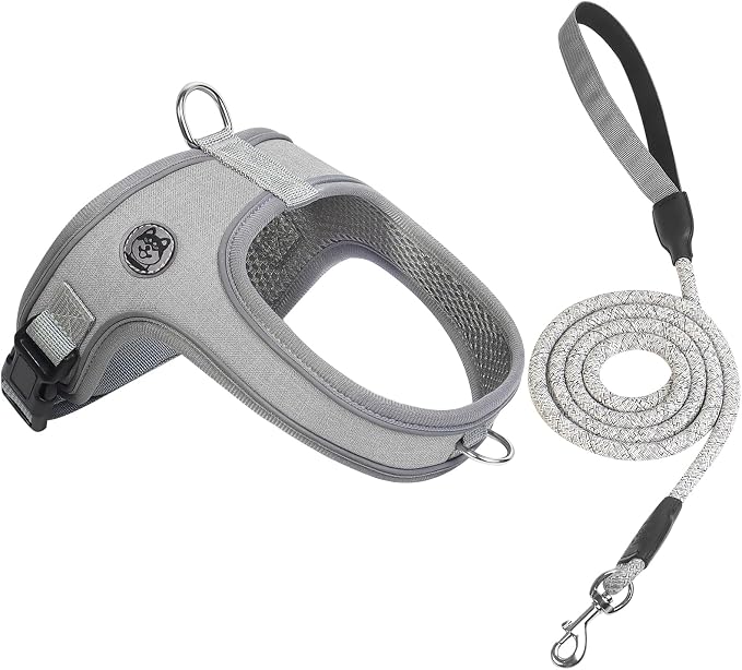 Dog Harness and Leash Set, No Pull Saddle Style Pet Harness, Breathable Mesh by Mengbeitribe