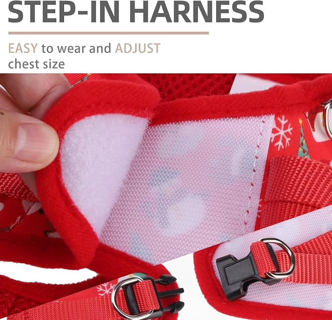 PUPTECK Dog Harness and Leash Set - Image 3