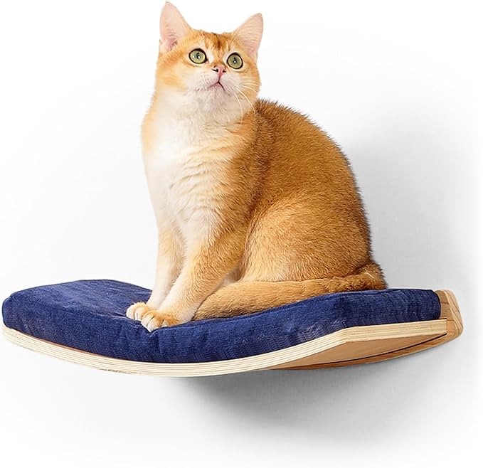 Curved Cat Shelves and Perches, Floating Cat Wall Bed by CoolEx