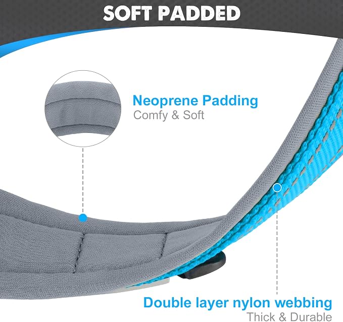 Joytale Dog Collar for Small Dogs, Neoprene Padded and Adjustable, Reflective - Image 2