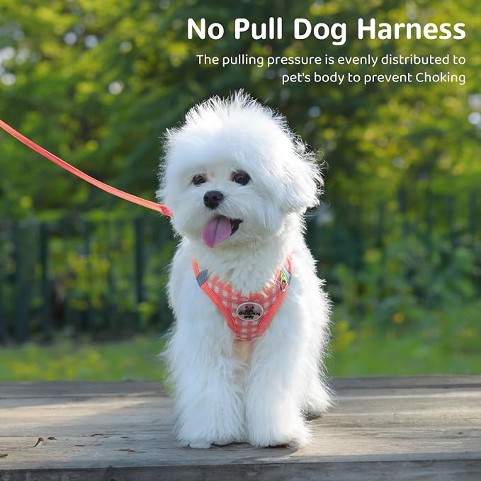 Gyuzh Dog Harness and Leash Set, Soft Mesh Breathable Small Dog Harness - Image 3