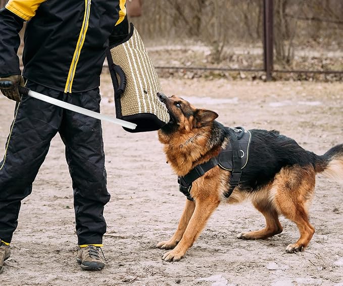 Professional Dog Bite Training Set 3 in 1 Dog Bite Sleeve Arm + Whip Agitation - Image 2