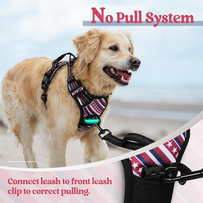 rabbitgoo Dog Harness No Pull - Image 5