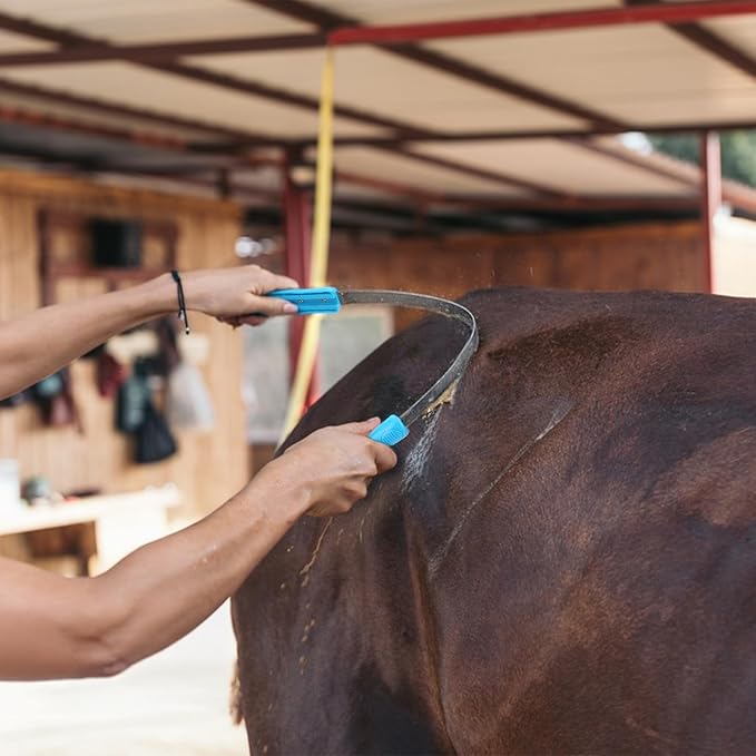 ZENFUN 6 Pc Dual-Sided Dog Shedding Blade, Stainless Steel Grooming Tool - Image 7