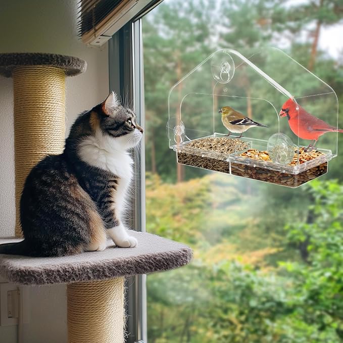 Outdoor Window Bird Feeder for Cats Viewing - Image 6