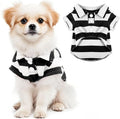 Dog Shirt Polo Shirt Striped Collar Puppy Clothes Summer Button Up Pet Clothes by Pistha