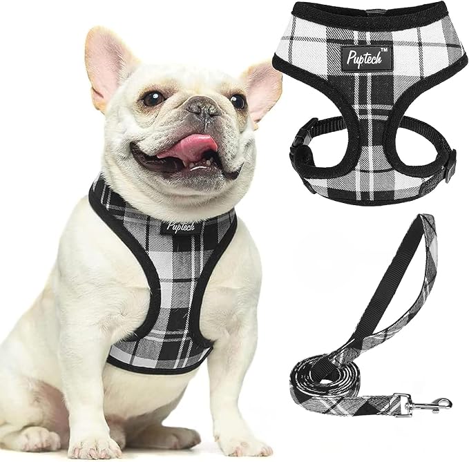 PUPTECK Soft Mesh Dog Harness and Leash Set Pet Puppy Cat Comfort Padded Vest by PUPTECK