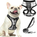 PUPTECK Soft Mesh Dog Harness and Leash Set Pet Puppy Cat Comfort Padded Vest by PUPTECK