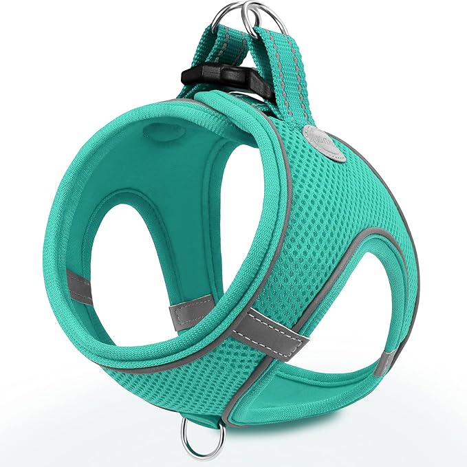 Joytale Small Dog Harness, Breathable Mesh Step-in Vest, Reflective Soft Padded by Joytale