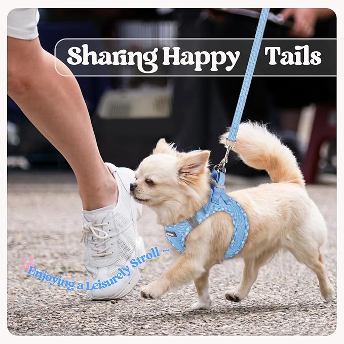 rabbitgoo Dog Harness Small Sized and Leash Set, Step in Soft Light Puppy Vest - Image 9