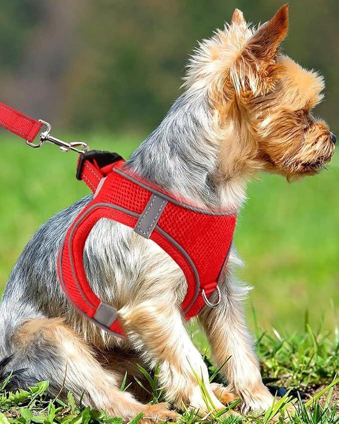 Joytale Small Dog Harness, Breathable Mesh Step-in Vest, Reflective Soft Padded - Image 2